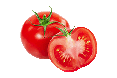 frische Tomaten