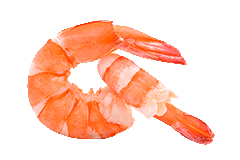 Shrimps(a5)
